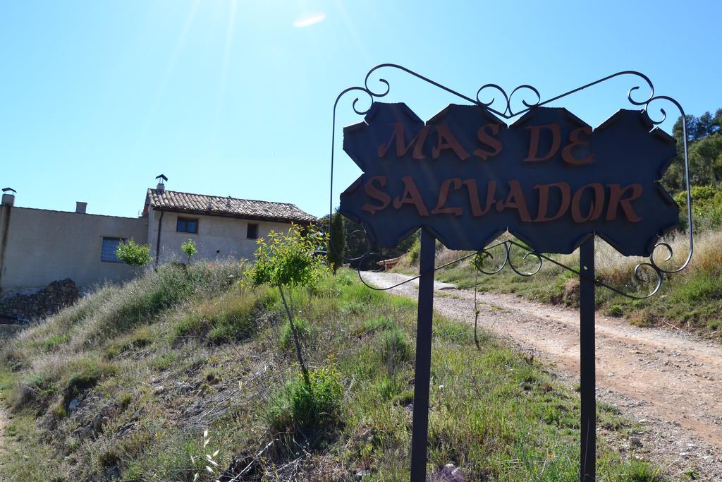 Mas De Salvador Villa Peñarroya de Tastavins Екстериор снимка